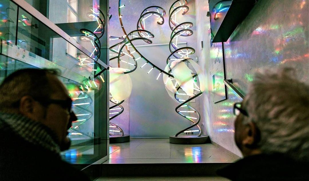DNA Lighting Model