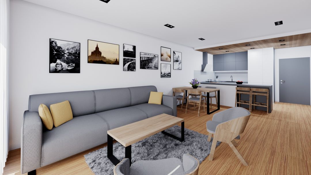 Interiors of 3 residential units - Třebonice