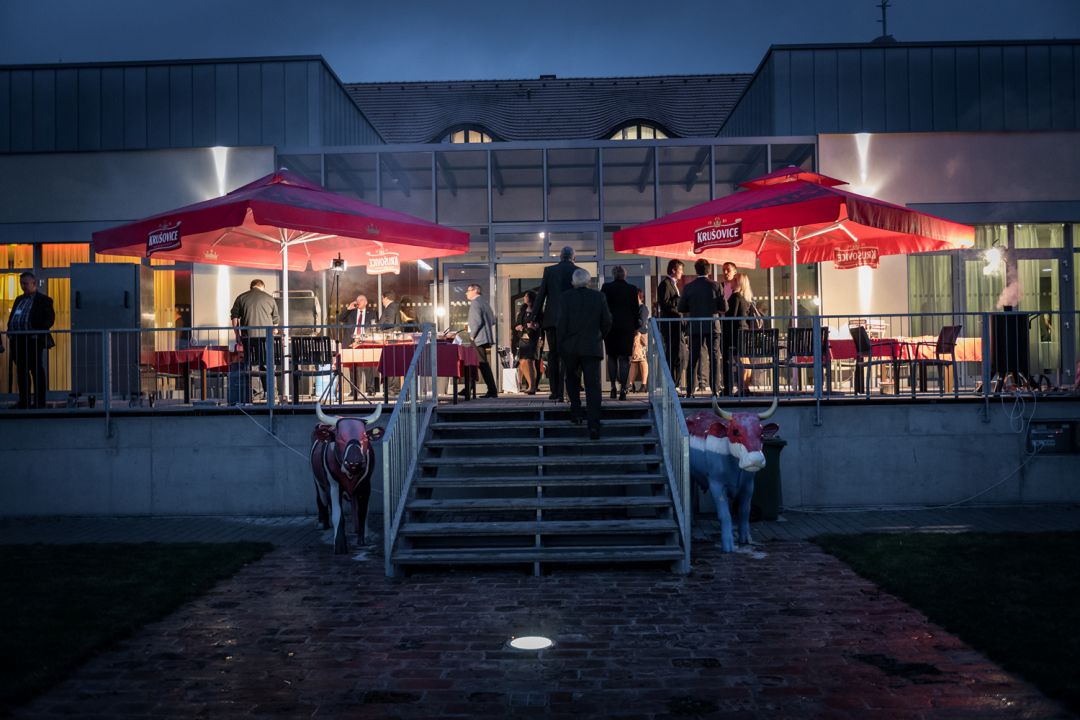 District Heating and Energy Days